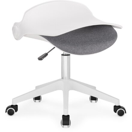 Компьютерное кресло Zarius gray / white 