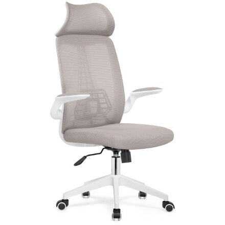 Компьютерное кресло Lokus light gray 